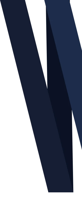 Web Tasarım Web Tasarım